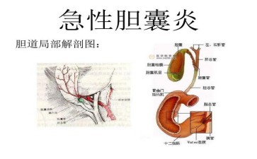 7908d118b9e0a244ee3ff1e13af0138a.jpg