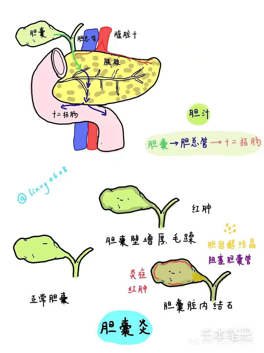 898698e4a429cca089fcda9c07cd45e.jpg