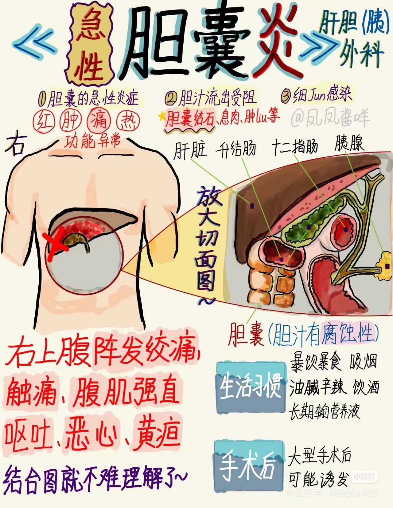 9af29228cd9b55719c43d1ffd8c62ec.jpg